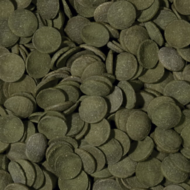 TROPICAL GREEN ALGAE WAFERS 100ml DLA GLONOJADÓW